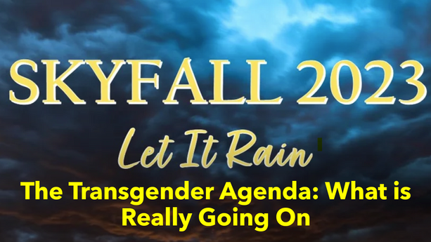 The Transgender Agenda: What is Really Going On by Ted Halley